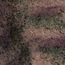 Satellite imagery of Peach Ridge, US