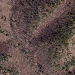 Satellite imagery of Peach Ridge, US