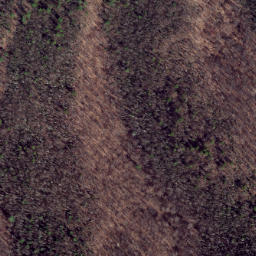 Satellite imagery of Trail Ridge, US