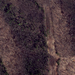 Satellite imagery of Trail Ridge, US