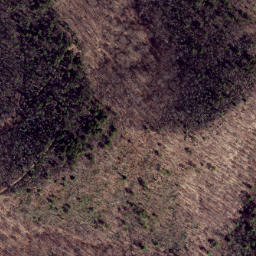 Satellite imagery of Trail Ridge, US