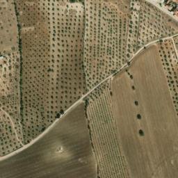 Satellite imagery of survey_point, PT