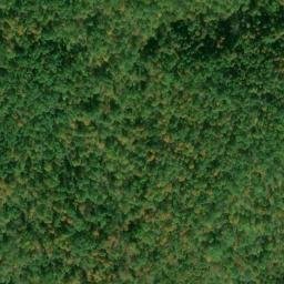 Satellite imagery of Cross Creek Ridge, US