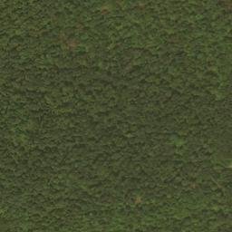 Satellite imagery of Dry Ridge, US