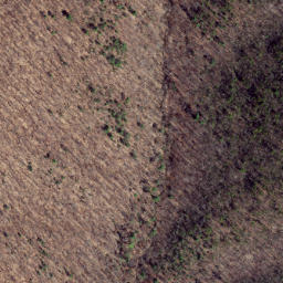 Satellite imagery of Peach Ridge, US