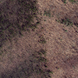 Satellite imagery of Peach Ridge, US