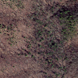 Satellite imagery of Peach Ridge, US
