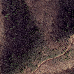 Satellite imagery of Trail Ridge, US