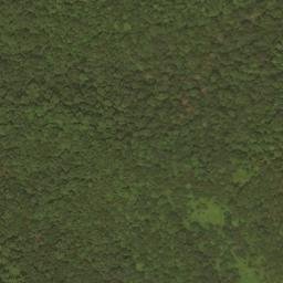 Satellite imagery of Dry Ridge, US