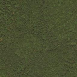 Satellite imagery of Dry Ridge, US