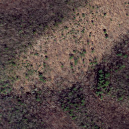 Satellite imagery of Chestnut Ridge, US