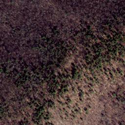 Satellite imagery of Chestnut Ridge, US