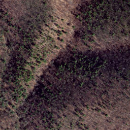 Satellite imagery of Pond Ridge, US