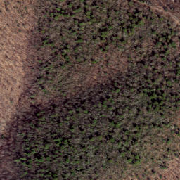 Satellite imagery of Pond Ridge, US