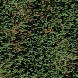 Satellite imagery of Tiger Mine, US