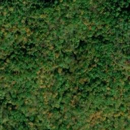 Satellite imagery of Dry Ridge, US