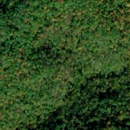 Satellite imagery of Dry Ridge, US