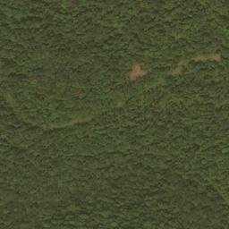 Satellite imagery of Dry Ridge, US