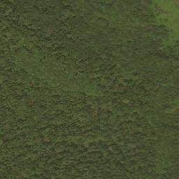 Satellite imagery of Dry Ridge, US