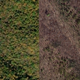 Satellite imagery of Dividing Ridge, US