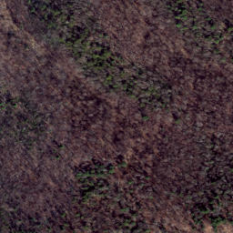 Satellite imagery of Chestnut Ridge, US