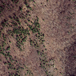 Satellite imagery of Chestnut Ridge, US