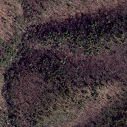 Satellite imagery of Pond Ridge, US