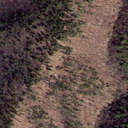 Satellite imagery of Pond Ridge, US