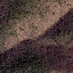 Satellite imagery of Pond Ridge, US