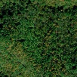 Satellite imagery of Dry Ridge, US