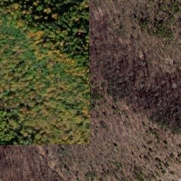 Satellite imagery of Dividing Ridge, US