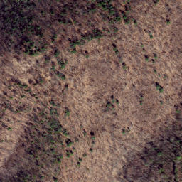 Satellite imagery of Chestnut Ridge, US