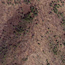 Satellite imagery of Chestnut Ridge, US