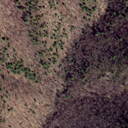 Satellite imagery of Chestnut Ridge, US
