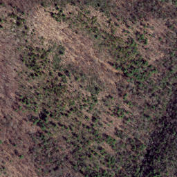 Satellite imagery of Shackleford Ridge, US