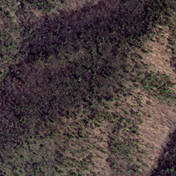 Satellite imagery of Pond Ridge, US