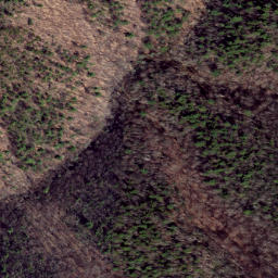 Satellite imagery of Pond Ridge, US