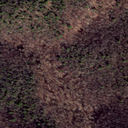 Satellite imagery of Pond Ridge, US