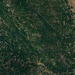 Satellite imagery of survey_point, PT