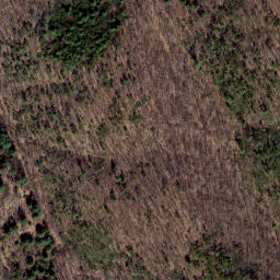 Satellite imagery of Dividing Ridge, US
