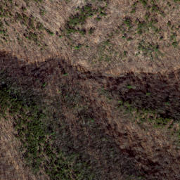 Satellite imagery of Dividing Ridge, US