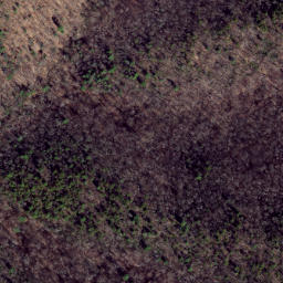 Satellite imagery of Shackleford Ridge, US