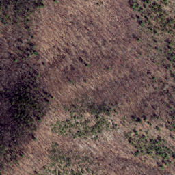 Satellite imagery of Shackleford Ridge, US
