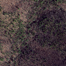Satellite imagery of Shackleford Ridge, US