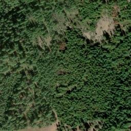 Satellite imagery of Red Gold Mine, US
