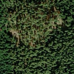 Satellite imagery of Red Gold Mine, US