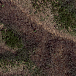 Satellite imagery of Hoovers Ridge, US