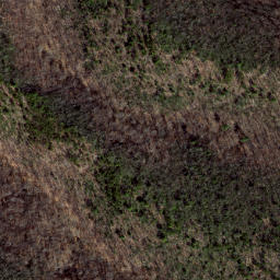 Satellite imagery of Hoovers Ridge, US