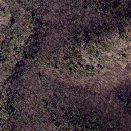 Satellite imagery of Shackleford Ridge, US