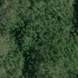Satellite imagery of Newgate Ridge, US